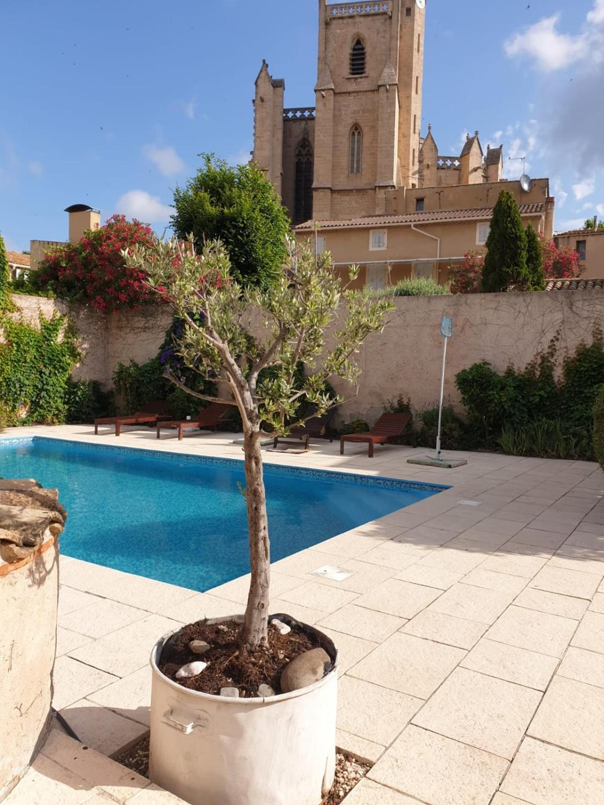Occ34 - Capestang - Villa Quinlan מראה חיצוני תמונה